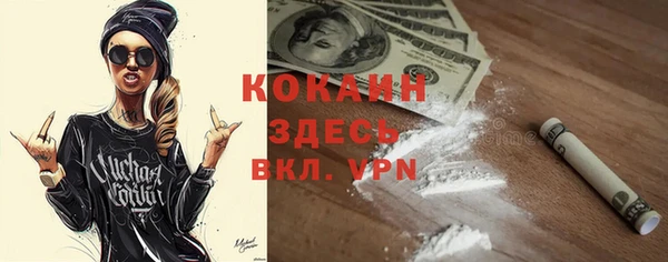 ПСИЛОЦИБИНОВЫЕ ГРИБЫ Абаза
