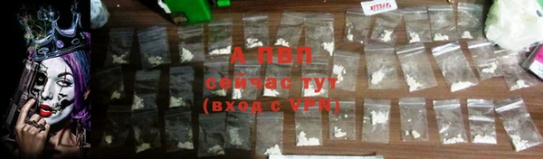 ПСИЛОЦИБИНОВЫЕ ГРИБЫ Абаза