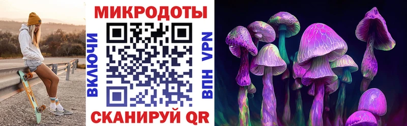 Галлюциногенные грибы GOLDEN TEACHER  наркошоп  Октябрьский 